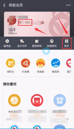 什么是蚂蚁会员在哪里看缩略图