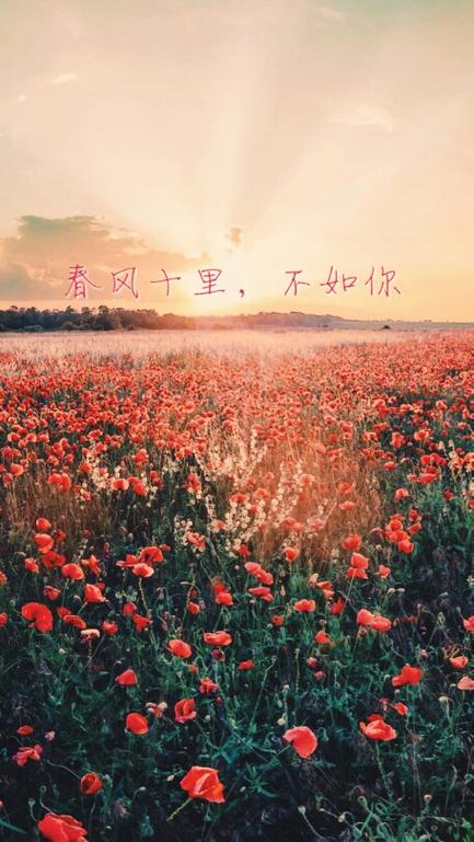 春风十里有什么寓意