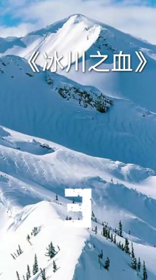 冰川小说免费下载手机图标