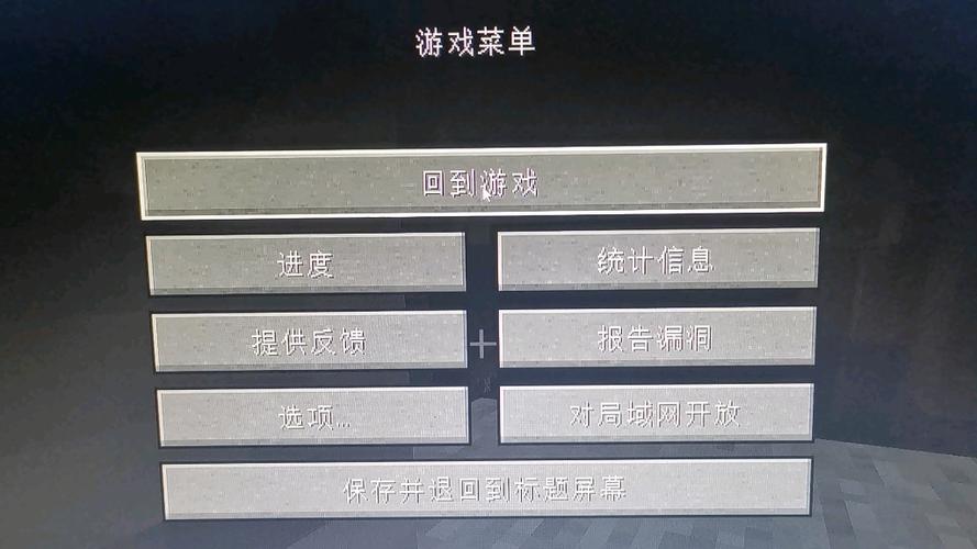 我的世界画面黑屏