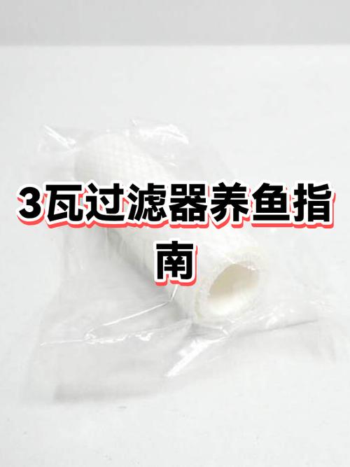 养鱼没有过滤器怎么办