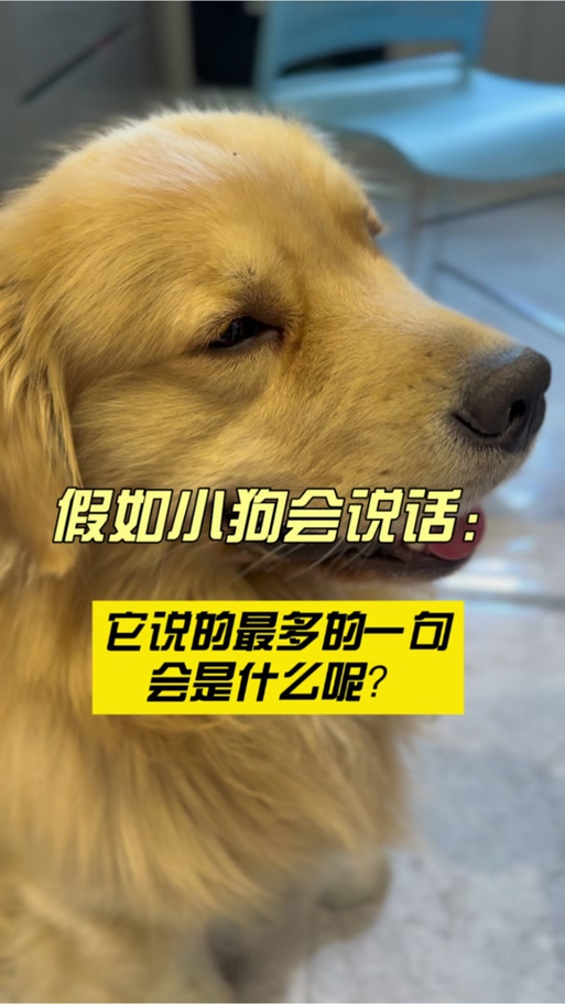 小狗说话图标