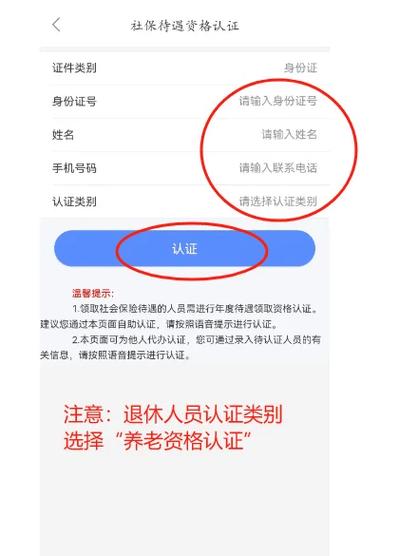 老年资格认证在哪里认证游戏截图