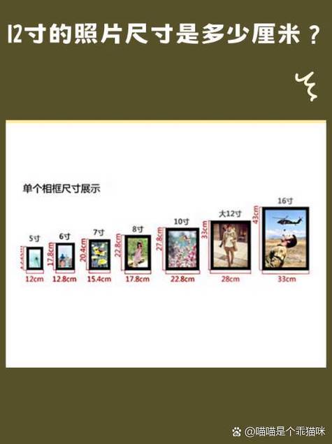二寸照片尺寸缩略图