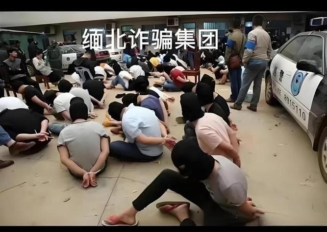 越南最新消息游戏截图