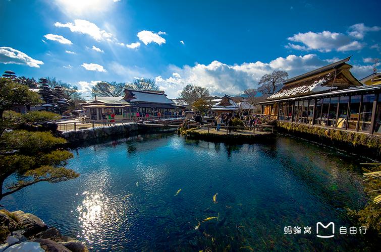 忍野八海缩略图