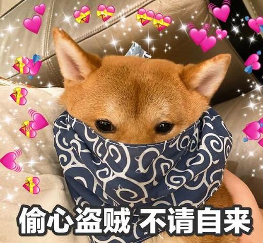 偷心盗贼游戏游戏截图