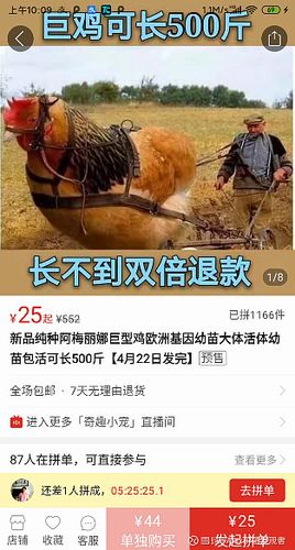我鸡养得贼6app缩略图