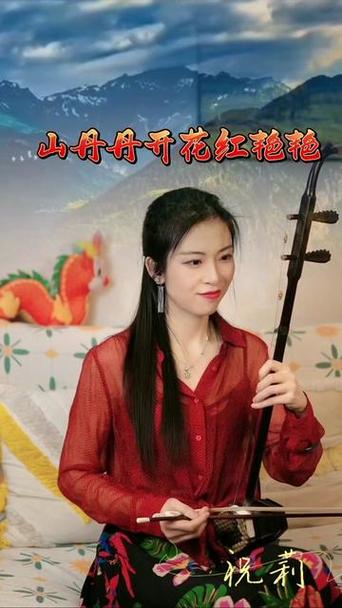 喜欢二胡的女人性格缩略图