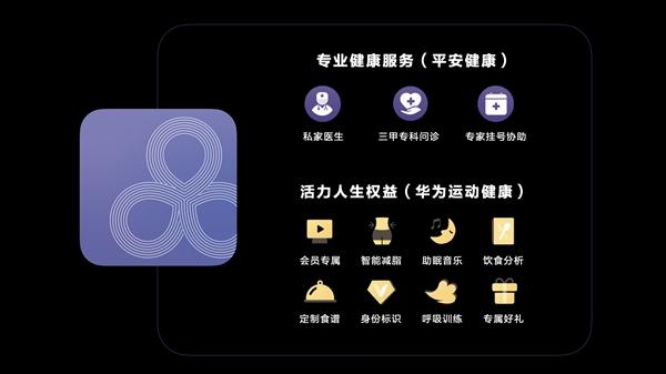 华为手表的健康监测功能游戏截图