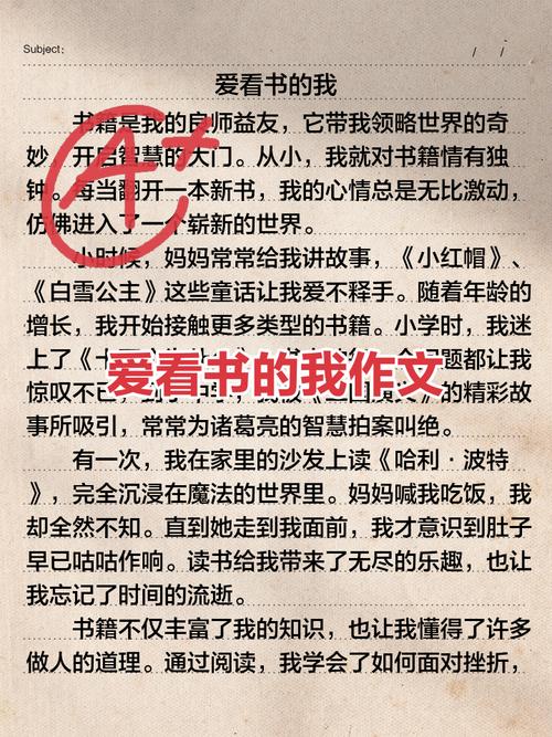 爱看书免费小说图标