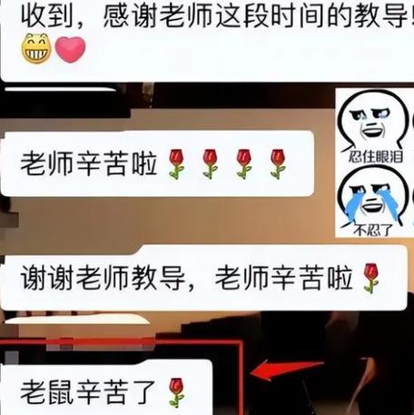 从我的聊天群开始无敌