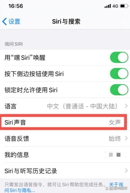 soul为什么语音会突然没声音缩略图