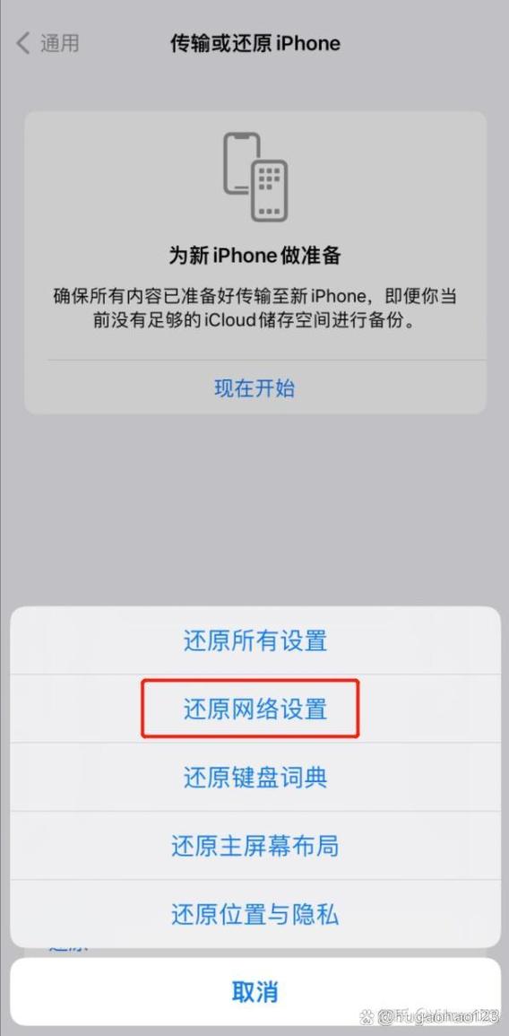 苹果手机有显示4g网络,不能上网图标