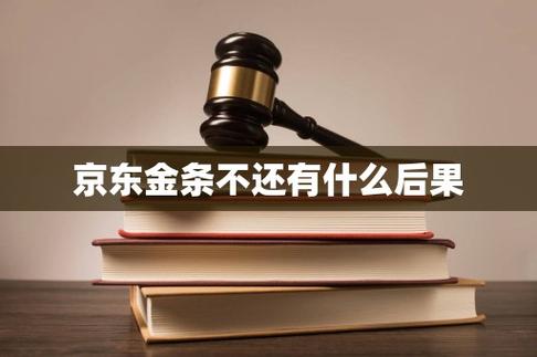 京东金融不还有什么后果游戏截图