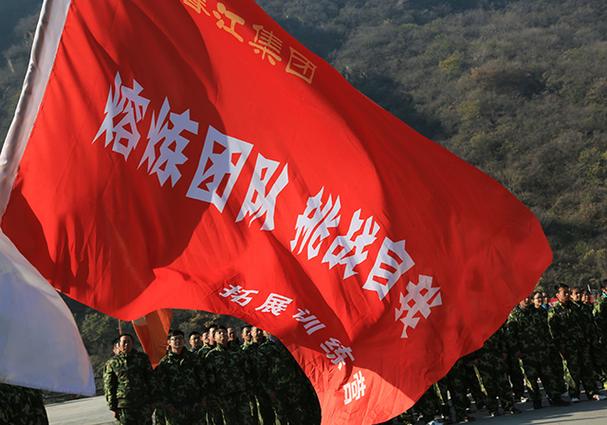 团队旗帜图案