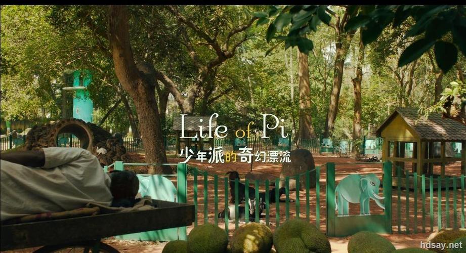少年派4k超清免费观看缩略图