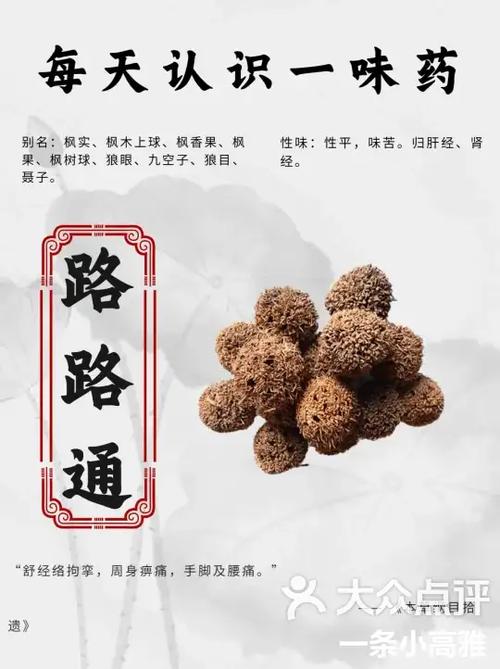 路路通的功效与作用及禁忌
