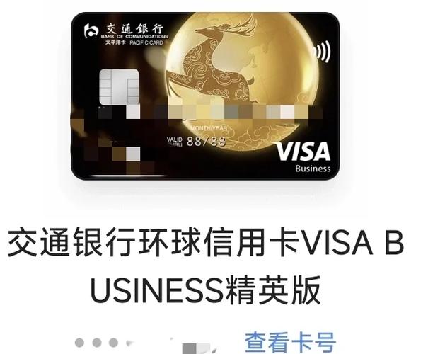 国内visa卡国外支付缩略图