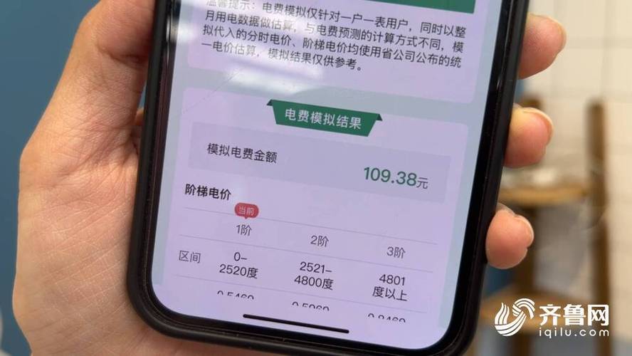 国网山东电力交电费游戏截图