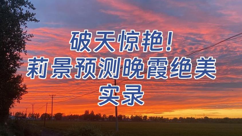 今日晚霞概率游戏截图