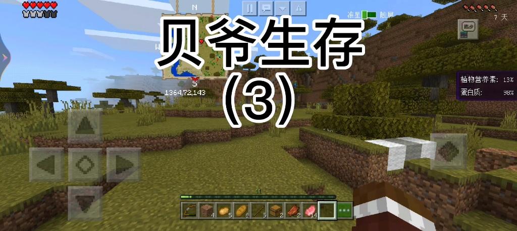 我的世界贝爷生存最适合的种子缩略图