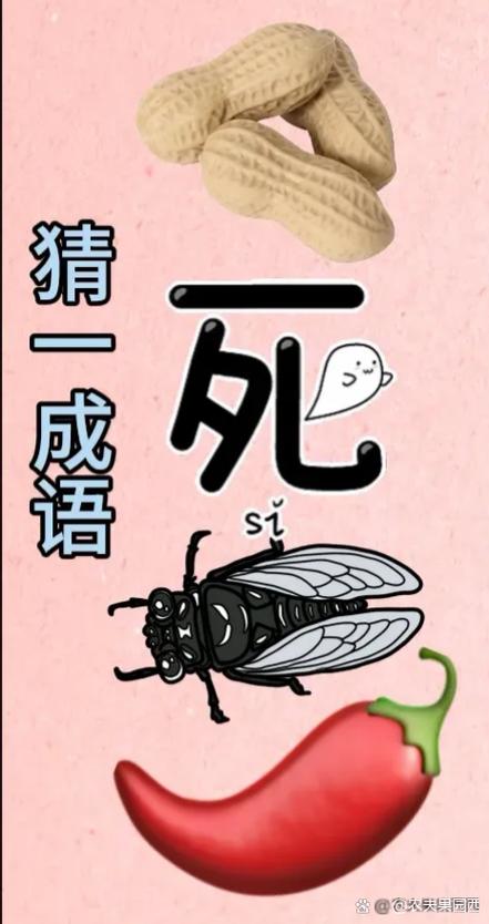 14个图形猜成语