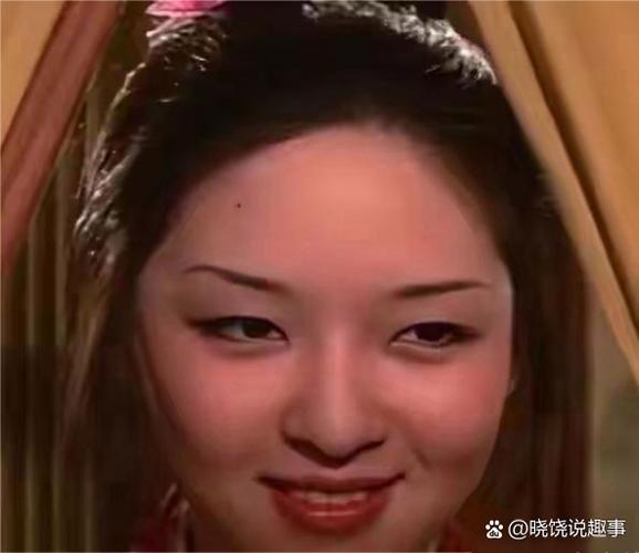 换脸软件软件软件介绍图标