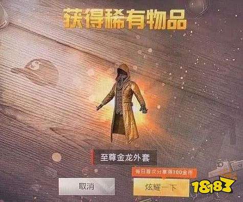 和平精英美化至尊金龙风衣缩略图