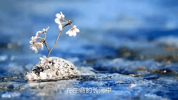 芊芊静听游戏截图