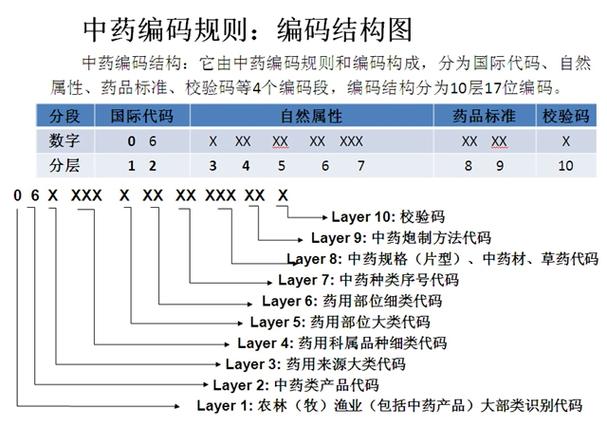 学校工号编码规则缩略图