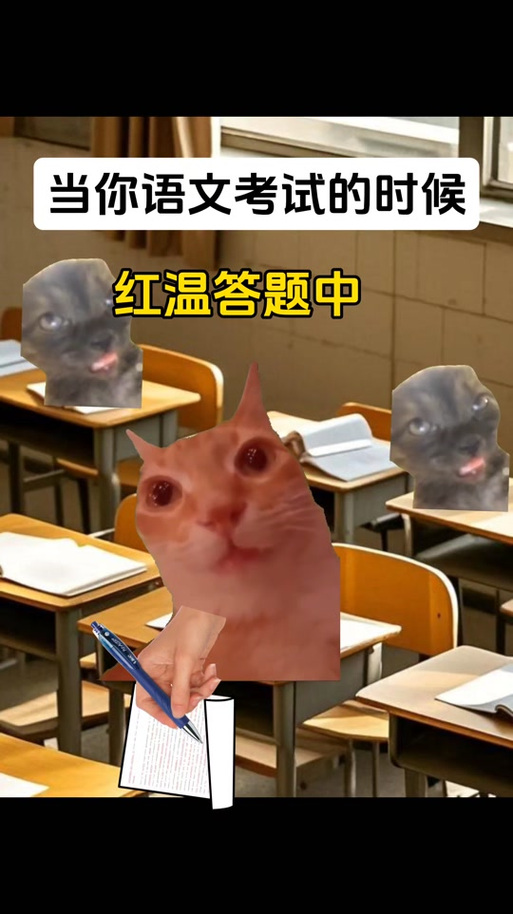 猫meme红温表情包缩略图