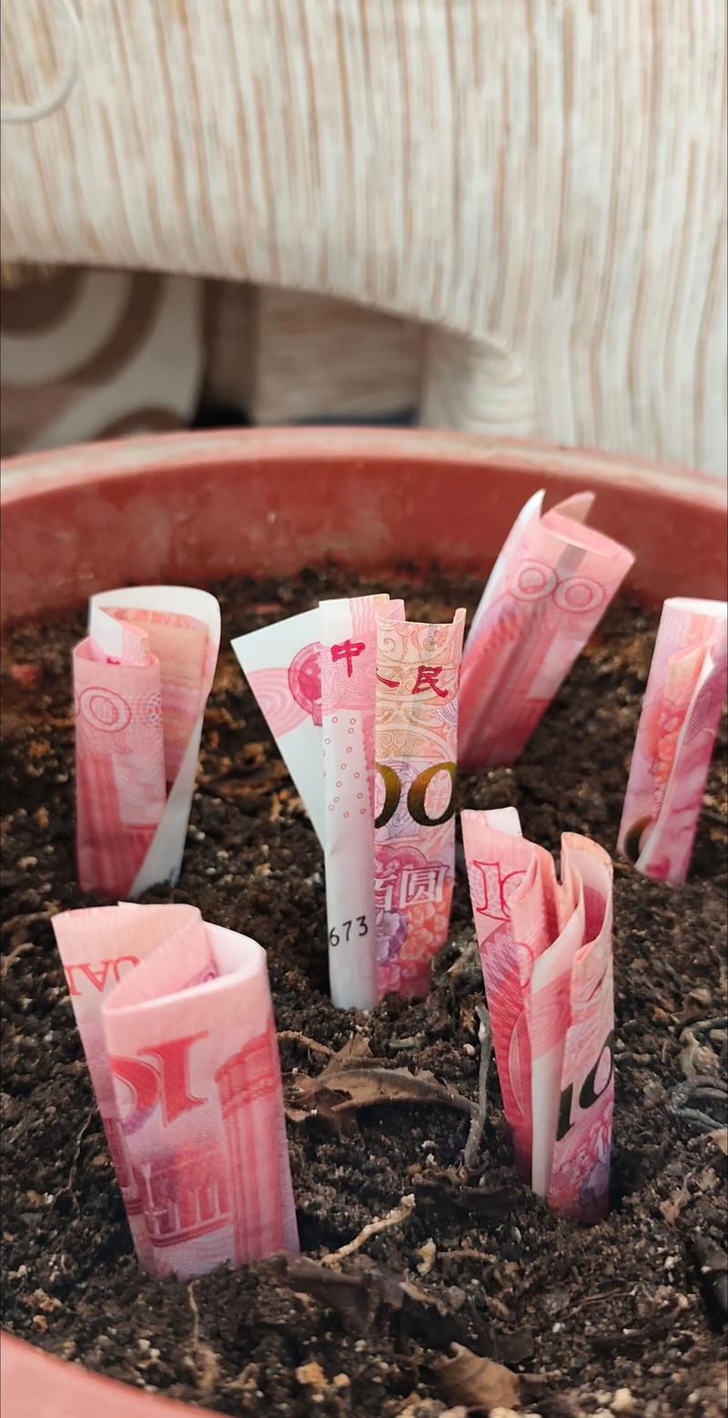趣味种树赚钱现金缩略图