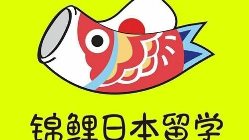 锦鲤平台缩略图