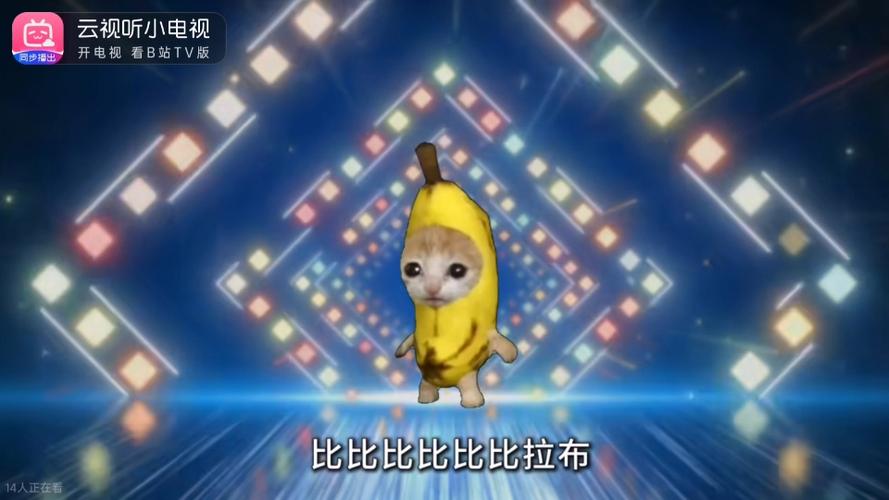 比比拉布我的刀盾是什么意思