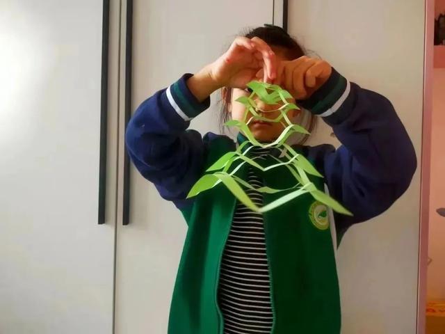 paperang官网入口