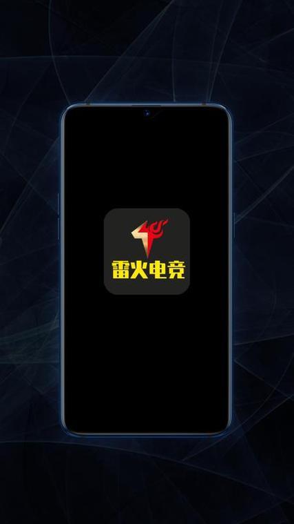 雷火电竞干嘛的