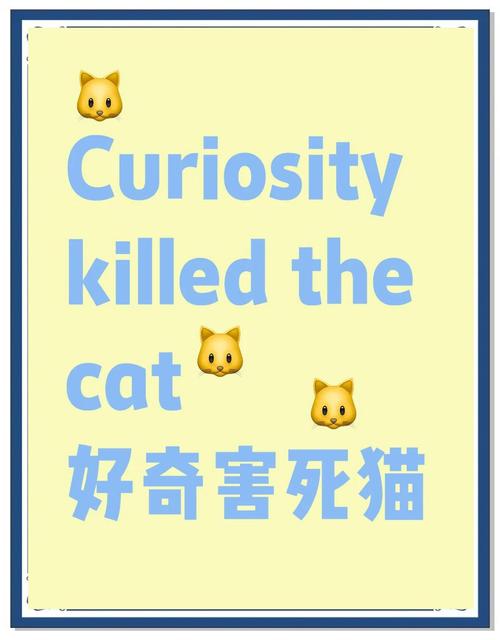 好奇心死猫迅雷完整