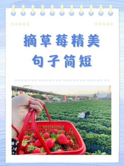 果园摘果朋友圈说说缩略图