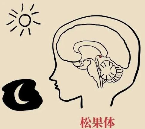 华为手环睡眠记录异常