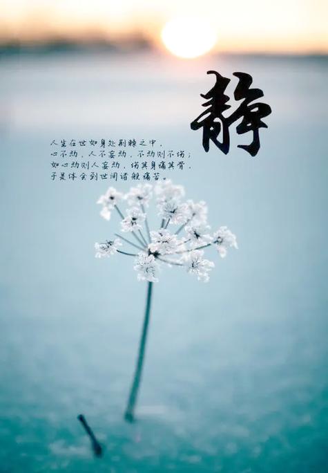 女人打碎碗后怎么化解