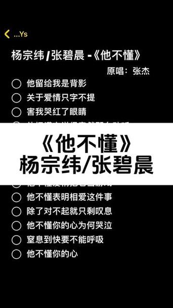 他不懂歌词想表达什么缩略图