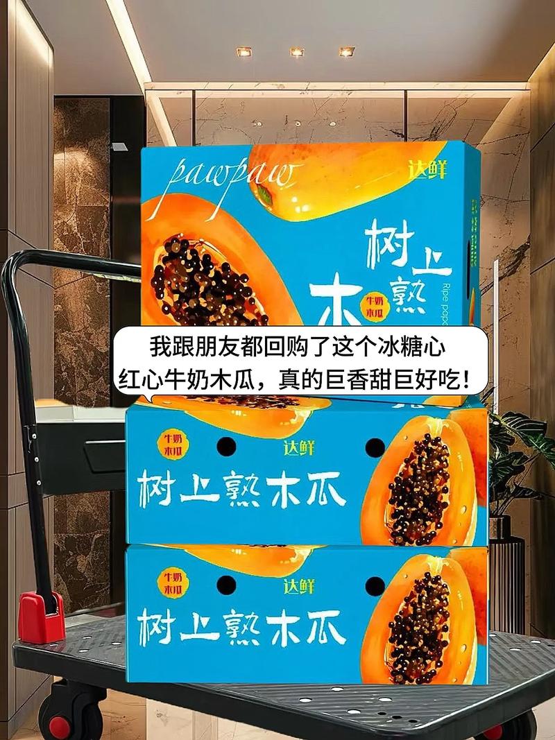 木瓜看书去广告游戏截图