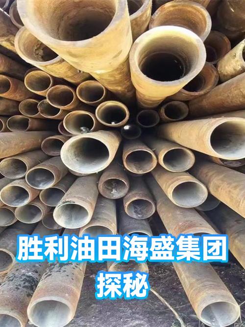 胜利油田海盛集团有限公司图标