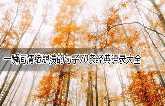 导航经典语录缩略图
