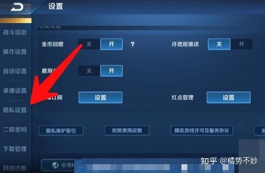 王者荣耀隐藏战绩查看器是真的吗