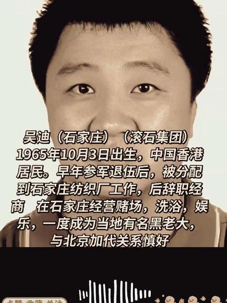 吴迪个人信息