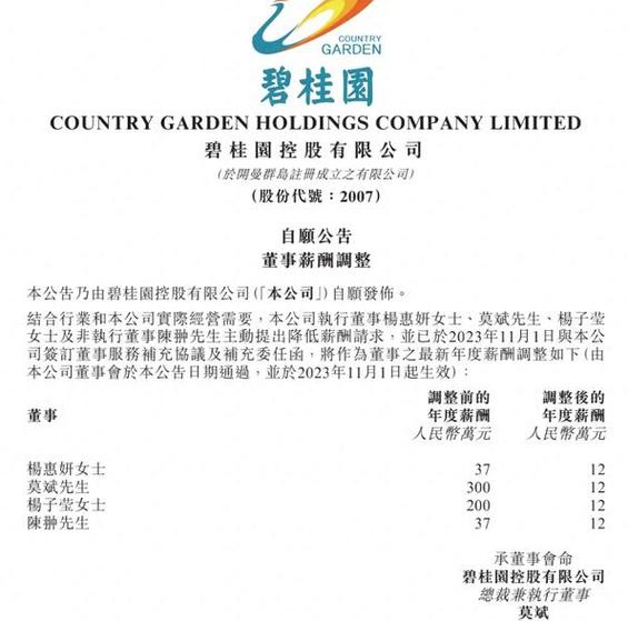碧桂园年收入图标