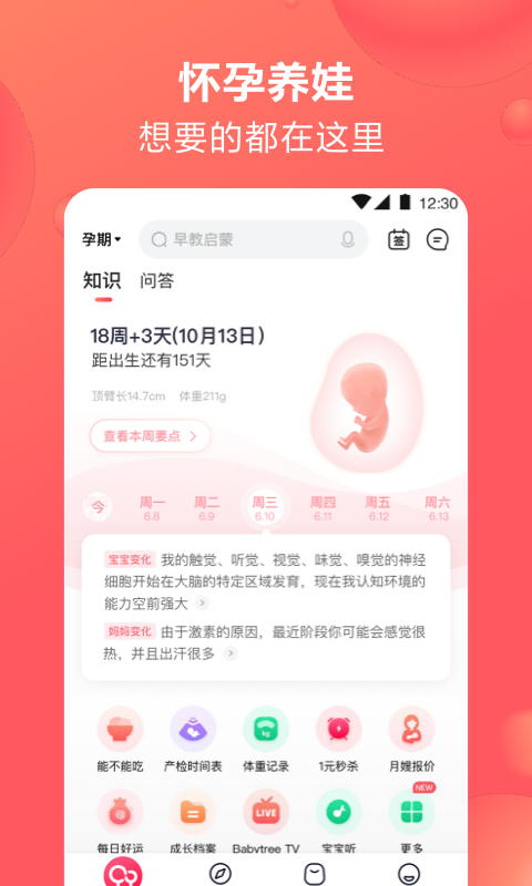 宝宝孕育树免费下载游戏截图