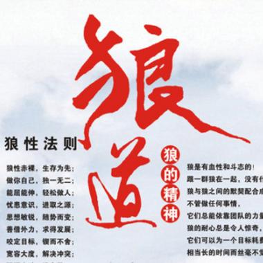 狼道经典语录100句缩略图